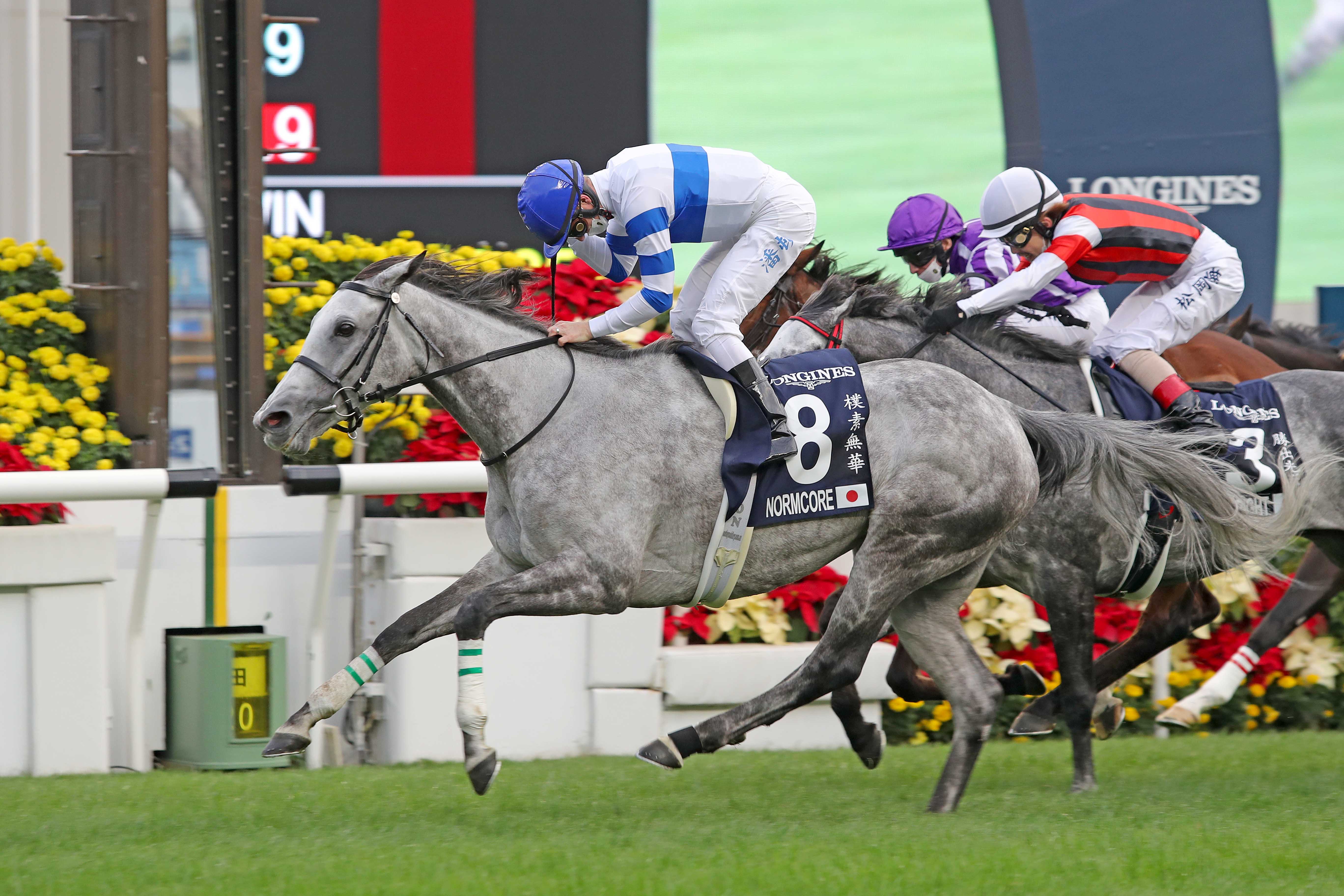 Zac Purton stands alone as the most successful jockey in LONGINES